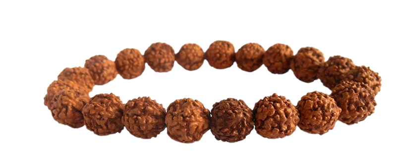 Rudraksha Bracelet Picture removebg preview 1